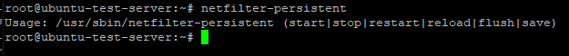 verify netfilter-persistent exists